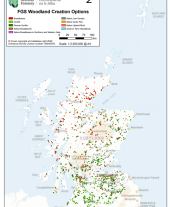 Appendix 5 - FGS All Woodland Creation Options